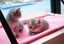 Carregar imagem no visualizador da galeria, Super Cama de Janela para Gatos